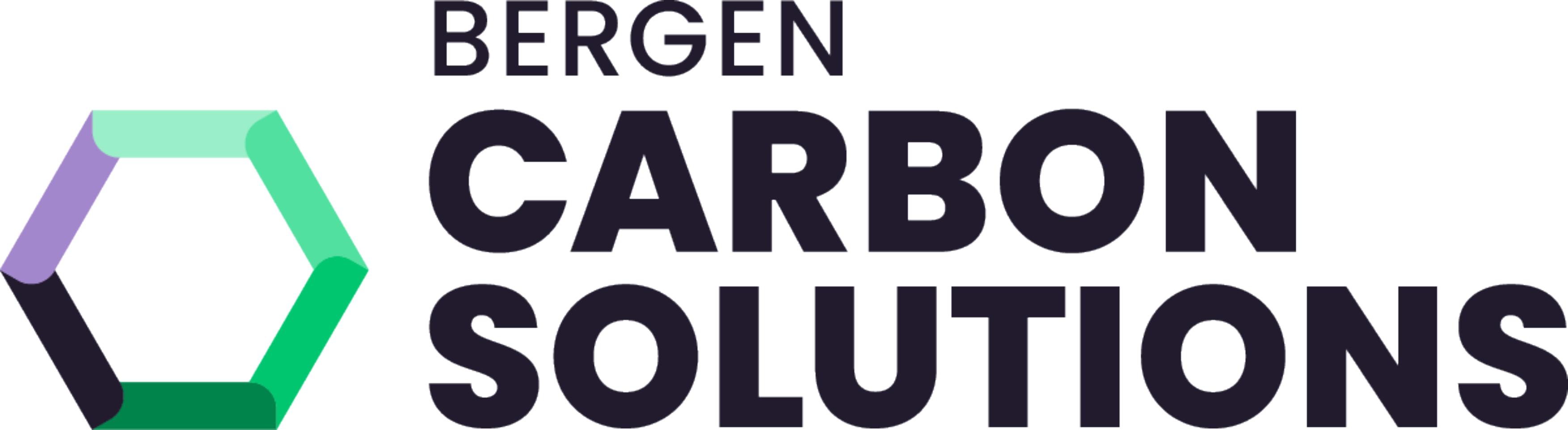 Speedintervju Bergen Carbon Solutions image